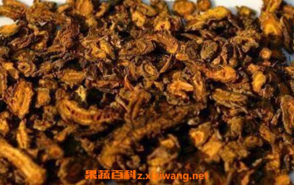 川连的功效与作用 川连的药用价值