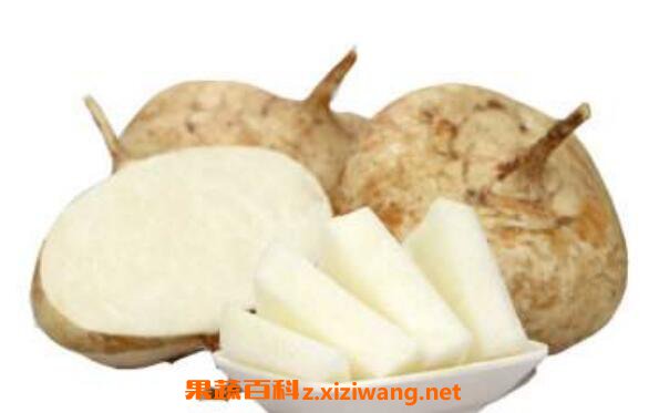 土瓜怎么吃 土瓜的食用方法