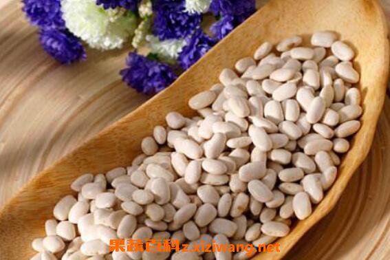 白芸豆的功效与禁忌
