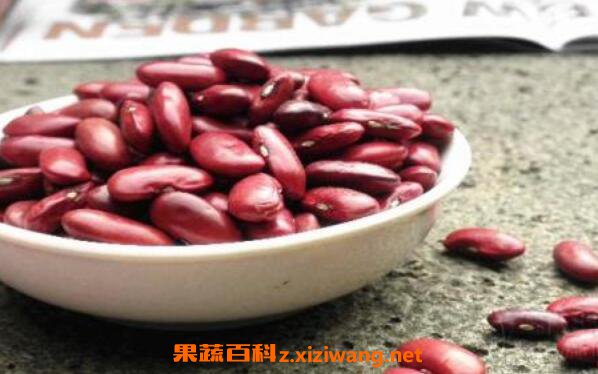 红芸豆的功效与禁忌