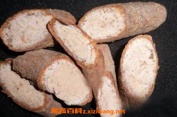 猕猴桃根怎么泡水喝 猕猴桃根可以长期喝吗