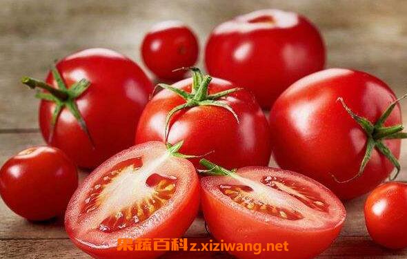 番茄红素的功效与作用