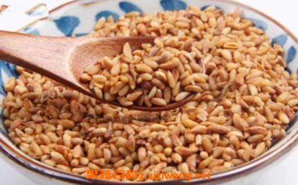 柏子仁怎么吃 柏子仁的食用方法