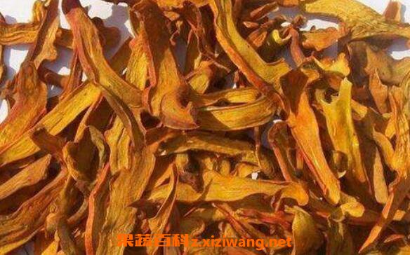 毛姜是骨碎补吗 毛姜和骨碎补的区别