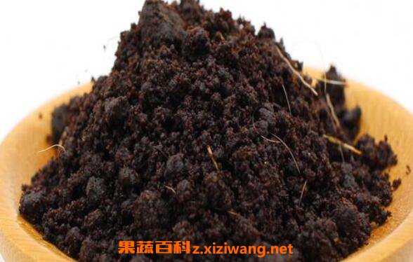 麝香灸的功效与作用