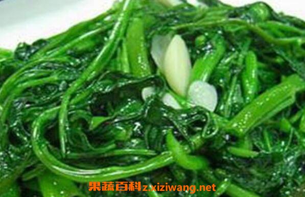 蕹菜怎么吃 蕹菜的吃法教程
