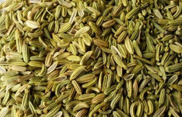 大茴香籽和小茴香籽的区别