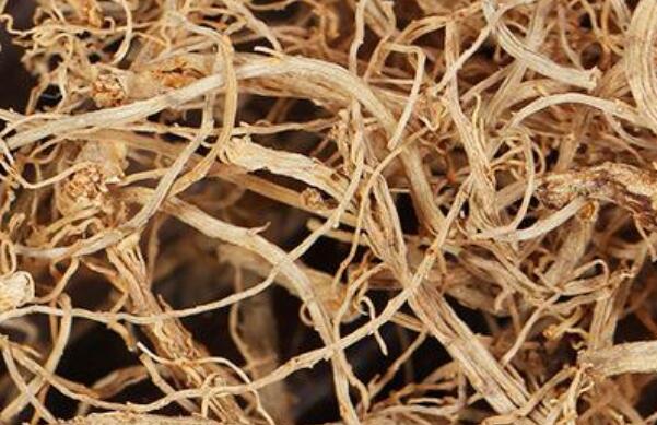 田七根的功效与作用