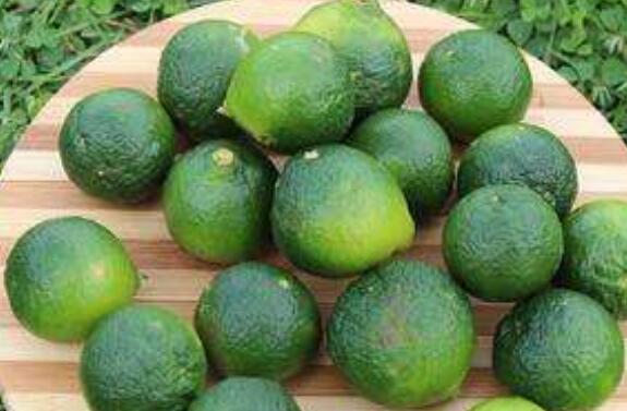 青金桔干怎么制作