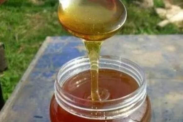 酸枣花蜜的功效与作用