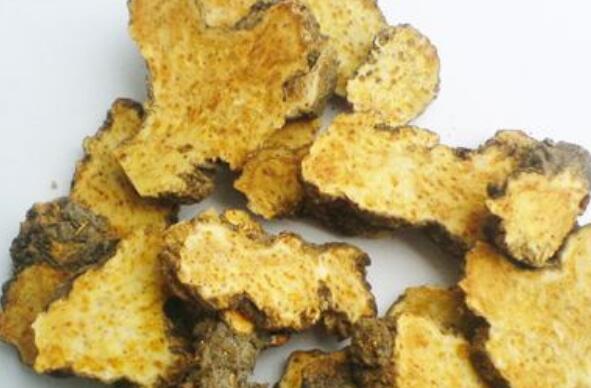 苍术泡水喝有什么功效 苍术泡水的药用价值