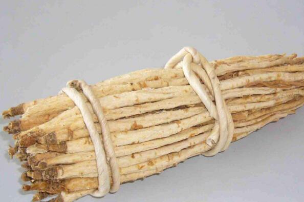 北沙参的副作用 北沙参不适合人群