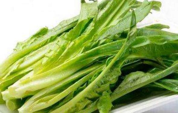 油麦菜的功效与作用