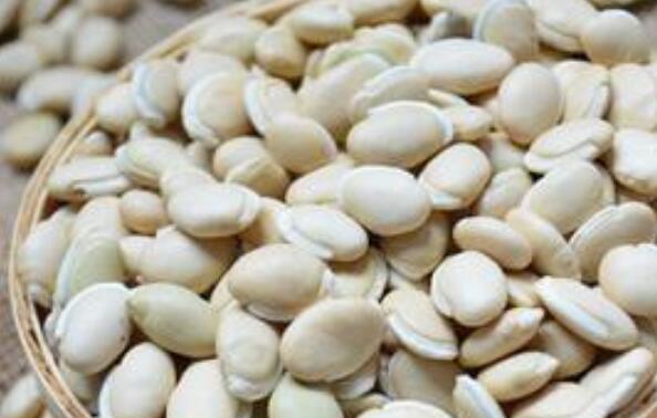 白扁豆的功效与作用 白扁豆怎么吃好