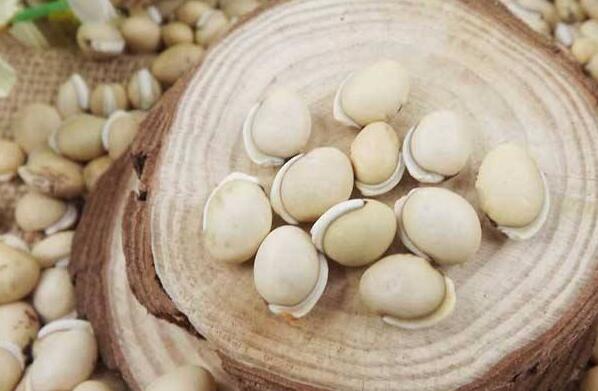  白扁豆的药用价值 白扁豆的副作用