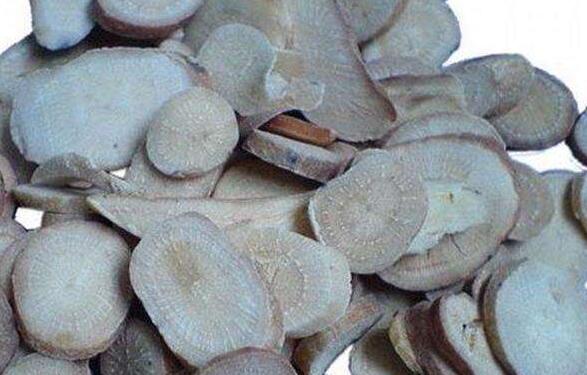 生白芍的功效与作用及药用价值