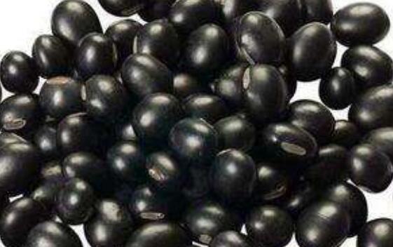 青皮黑豆的功效与作用