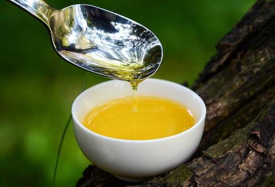 绿茶籽油的功效与作用