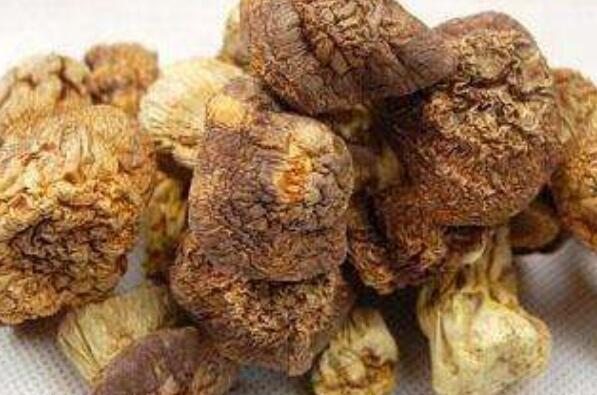 干姬松茸的功效和吃法