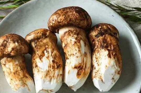 花松茸和松茸的区别