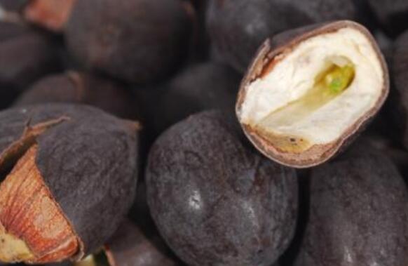 莲子壳泡茶的功效与作用