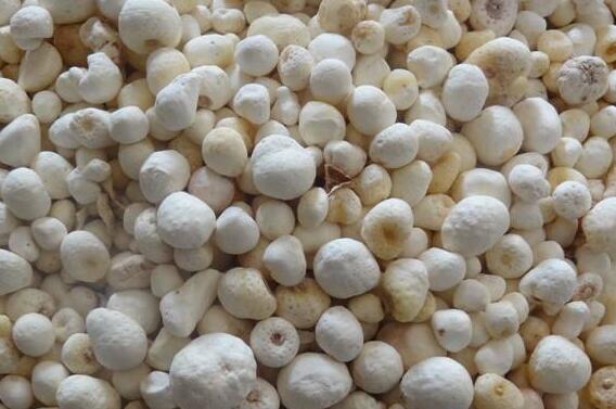 法半夏和姜半夏的区别 法半夏的功效