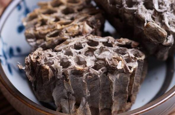 露蜂房如何泡酒 露蜂房泡酒的功效与作用