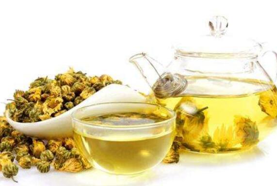 野菊花茶的功效与作用 野菊花茶的冲泡方法