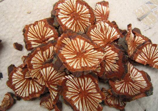 大血藤的功效与作用 大血藤的常见用法