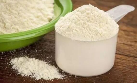 蛋白质粉和奶粉的区别