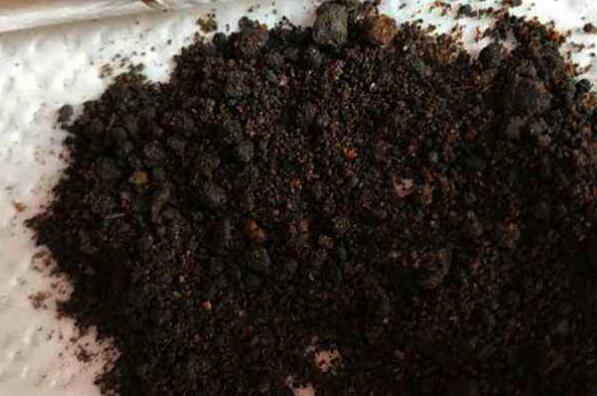 麝香仁和麝香有什么区别 麝香的功效与作用