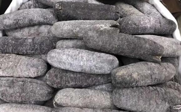 乌枣参的功效与作用