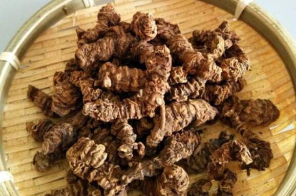 马蹄香根的功效与作用及副作用