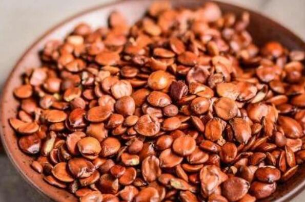 生枣仁的功效和作用与副作用