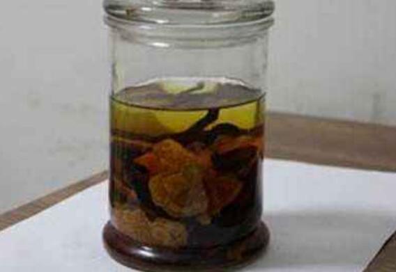 何首乌酒的功效与作用