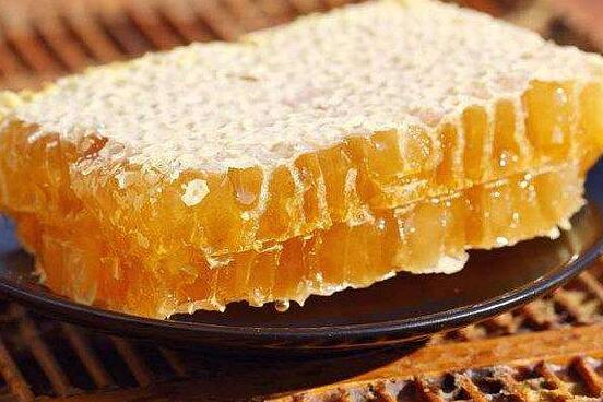 硬蜂房和软蜂房的区别