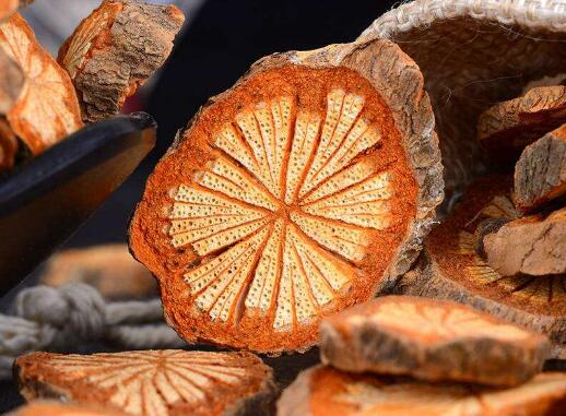 红藤的功效与作用及禁忌