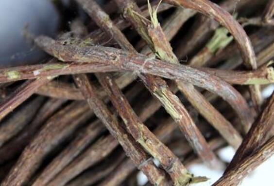 何首乌藤怎么吃 </div>
  </mip-showmore>
<div on=