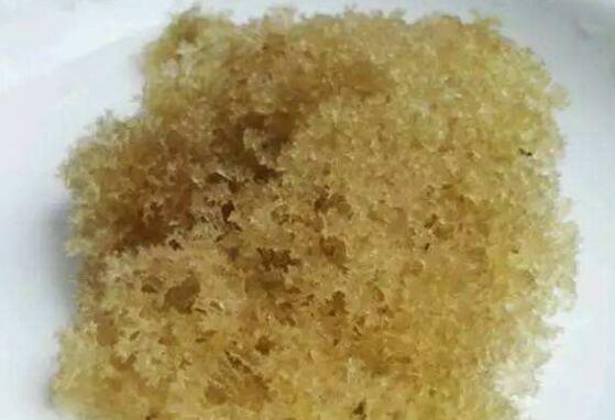 竹燕窝怎么清洗 竹燕窝的清洗方法技巧