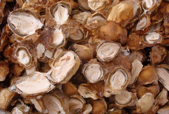 怎么泡发干竹胎儿