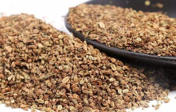 蛇床子的功效与作用及禁忌