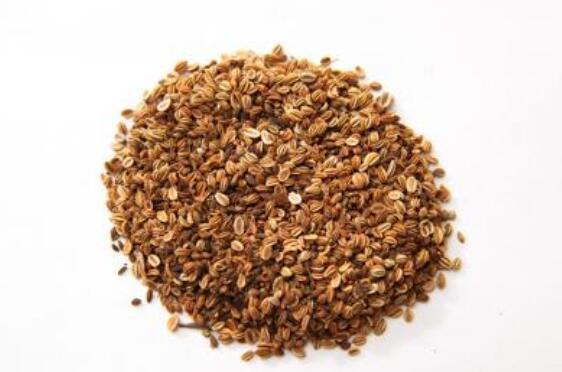 蛇床子的功效与作用及禁忌