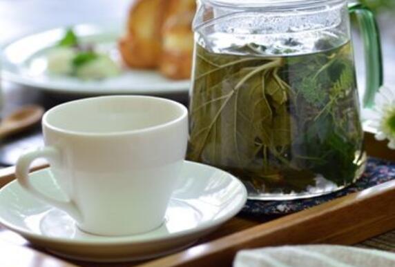 香草茶的功效与作用及食用方法