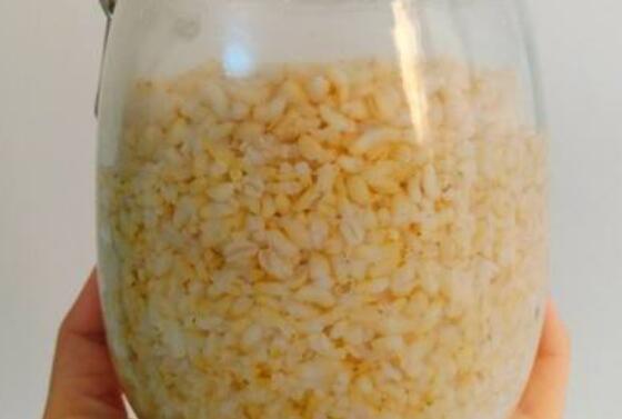 糙米酒糟有什么功效