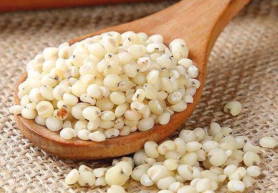 糯高粱米的功效与作用