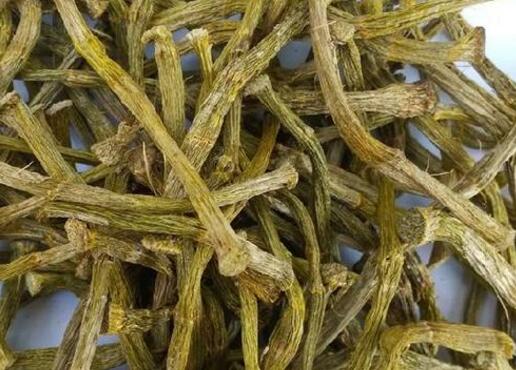 干石斛泡水喝的方法