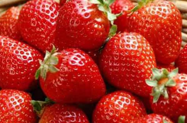 每天吃草莓的最佳时间 吃草莓怎么吃好