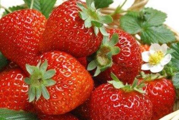 哪些人不宜吃草莓 吃草莓的禁忌