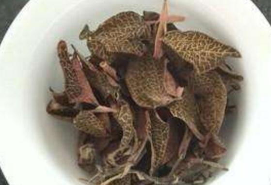 金线莲茶的功效与作用及禁忌