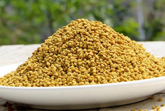 什么是破壁油菜</div>
<div class=